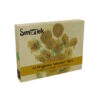 Smartek Magnetische Tiles - Art Gogh Sunflowers - 12 delig - 3